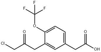 3-(3-Chloro-2-oxopropyl)-4-(trifluoromethoxy)phenylacetic acid Structure