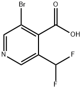 4-Pyridinecarboxylic acid, 3-bromo-5-(difluoromethyl)- Structure