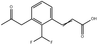 2-(Difluoromethyl)-3-(2-oxopropyl)cinnamic acid Structure