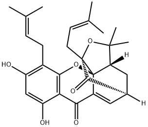 Forbesione Structure