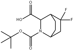 2-Azabicyclo[2.2.2]octane-2,3-dicarboxylic acid, 5,5-difluoro-, 2-(1,1-dimethyle… 구조식 이미지