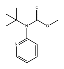Carbamic acid, N-(1,1-dimethylethyl)-N-2-pyridinyl-, methyl ester Structure