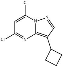 Pyrazolo[1,5-a]pyrimidine, 5,7-dichloro-3-cyclobutyl- Structure