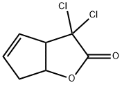 2H-Cyclopenta[b]furan-2-one, 3,3-dichloro-3,3a,6,6a-tetrahydro- Structure