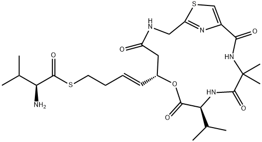 Bocodepsin Structure