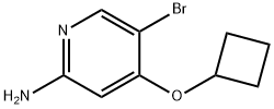 2-Pyridinamine, 5-bromo-4-(cyclobutyloxy)- 구조식 이미지