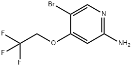 2-Pyridinamine, 5 bromo4(2,2,2.trifluoroethoxy)- Structure