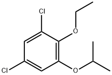 1,5-dichloro-2-ethoxy-3-(propan-2-yloxy)benzene Structure