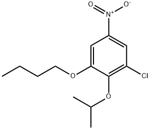 1-butoxy-3-chloro-5-nitro-2-(propan-2-yloxy)benzene Structure