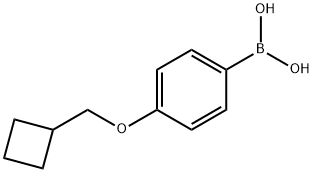 Boronic acid, B-[4-(cyclobutylmethoxy)phenyl]- Structure