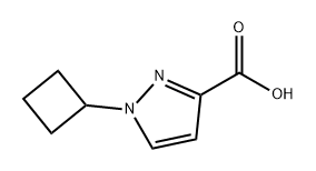 1H-Pyrazole-3-carboxylic acid, 1-cyclobutyl- Structure