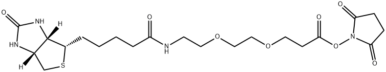 Propanoic acid, 3-[2-[2-[[5-[(3aS,4S,6aR)-hexahydro-2-oxo-1H-thieno[3,4-d]imidazol-4-yl]-1-oxopentyl]amino]ethoxy]ethoxy]-, 2,5-dioxo-1-pyrrolidinyl ester Structure