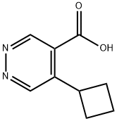 5-cyclobutylpyridazine-4-carboxylic acid Structure