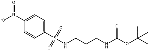 Carbamic acid, N-[3-[[(4-nitrophenyl)sulfonyl]amino]propyl]-, 1,1-dimethylethyl ester Structure