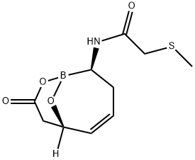 Acetamide, 2-(methylthio)-N-[(2R,6S)-8-oxo-9,10-dioxa-1-borabicyclo[4.3.1]dec-4-en-2-yl]- Structure