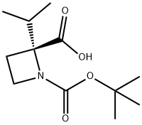 1,2-Azetidinedicarboxylic acid, 2-(1-methylethyl)-, 1-(1,1-dimethylethyl) ester, (2R)- Structure