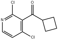 Cyclobutyl(2,4-dichloropyridin-3-yl)methanone 구조식 이미지