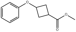 Methyl 3-phenoxycyclobutane-1-carboxylate Structure