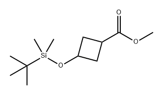 Cyclobutanecarboxylic acid, 3-[[(1,1-dimethylethyl)dimethylsilyl]oxy]-, methyl ester Structure