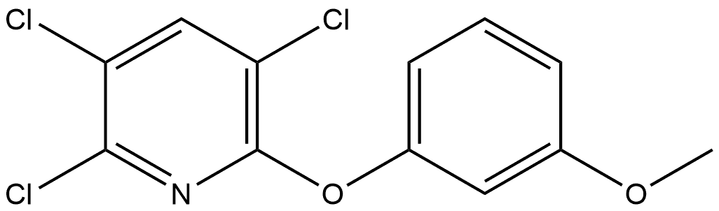 2,3,5-Trichloro-6-(3-methoxyphenoxy)pyridine 구조식 이미지