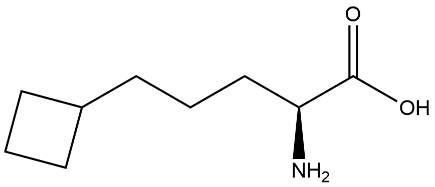 (S)-2-amino-5-cyclobutylpentanoic acid Structure
