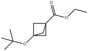 3-tert-Butoxy-bicyclo[1.1.1]pentane-1-carboxylic acid ethyl ester 구조식 이미지