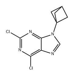 9H-Purine, 9-bicyclo[1.1.1]pent-1-yl-2,6-dichloro- Structure