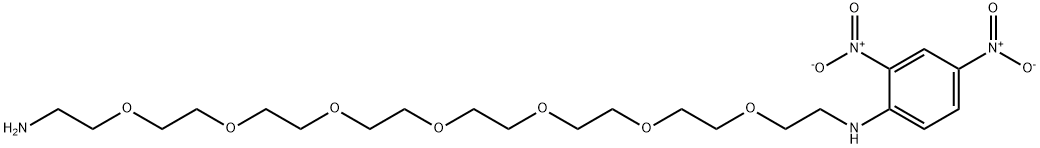 DNP-PEG7-NH2 Structure