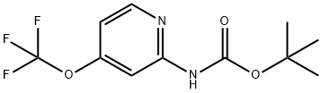 tert-butyl N-[4-(trifluoromethoxy)pyridin-2-yl]carbamate Structure