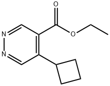 ethyl 5-cyclobutylpyridazine-4-carboxylate Structure