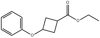 Cyclobutanecarboxylic acid, 3-phenoxy-, ethyl ester Structure