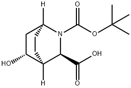 2-Azabicyclo[2.2.2]octane-2,3-dicarboxylic acid, 5-hydroxy-, 2-(1,1-dimethylethy… 구조식 이미지