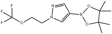 1H-Pyrazole, 4-(4,4,5,5-tetramethyl-1,3,2-dioxaborolan-2-yl)-1-[2-(trifluoromethoxy)ethyl]- Structure