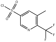 5-methyl-6-(trifluoromethyl)pyridine-3-sulfonyl chloride Structure