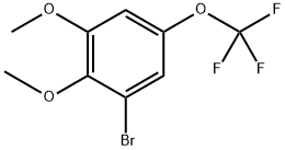 1-bromo-2,3-dimethoxy-5-(trifluoromethoxy)benzene 구조식 이미지