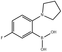 Boronic acid, B-[5-fluoro-2-(1-pyrrolidinyl)phenyl]- Structure