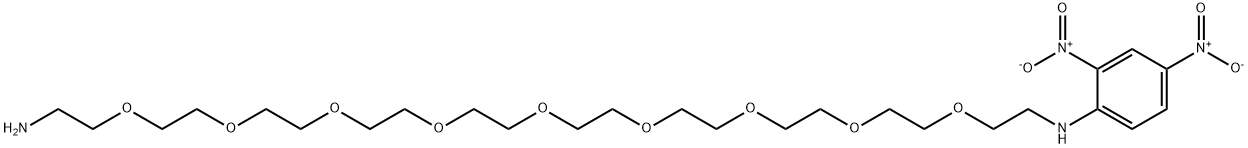 DNP-PEG9-NH2 Structure