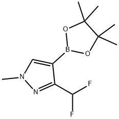 3-(difluoromethyl)-1-methyl-4-(4,4,5,5-tetramethyl-1,3,2-dioxaborolan-2-yl)-1H-pyrazole 구조식 이미지