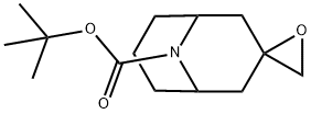 tert-butyl 9-azaspiro[bicyclo[3.3.1]nonane-3,2''-oxirane]-9-carboxylate Structure
