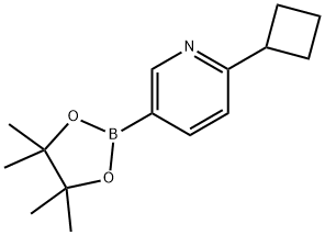 2-cyclobutyl-5-(4,4,5,5-tetramethyl-1,3,2-dioxabor olan-2-yl)pyridine 구조식 이미지