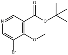 t-Butyl 5-bromo-4-methoxynicotinate Structure