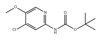 Carbamic acid, N-(4-chloro-5-methoxy-2-pyridinyl)-, 1,1-dimethylethyl ester Structure