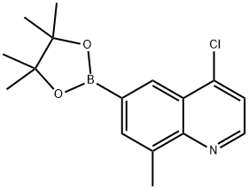 4-chloro-8-methyl-6-(4,4,5,5-tetramethyl-1,3,2-dioxaborolan-2-yl)quinoline Structure