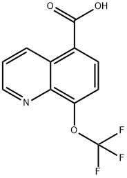 5-Quinolinecarboxylic acid, 8-(trifluoromethoxy)- 구조식 이미지