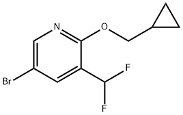 5-Bromo-2-(cyclopropylmethoxy)-3-(difluoromethyl)pyridine Structure