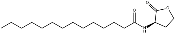 Tetradecanamide, N-[(3R)-tetrahydro-2-oxo-3-furanyl]- Structure