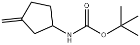 Carbamic acid, N-(3-methylenecyclopentyl)-, 1,1-dimethylethyl ester Structure