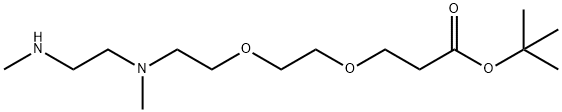 N,N'-DME-N-PEG2-Boc Structure