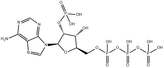 Adenosine 5'-Triphosphate, 2'-phosphate 구조식 이미지