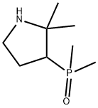 Pyrrolidine, 3-(dimethylphosphinyl)-2,2-dimethyl- Structure